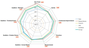 Agility Health Assessment Radar for Team