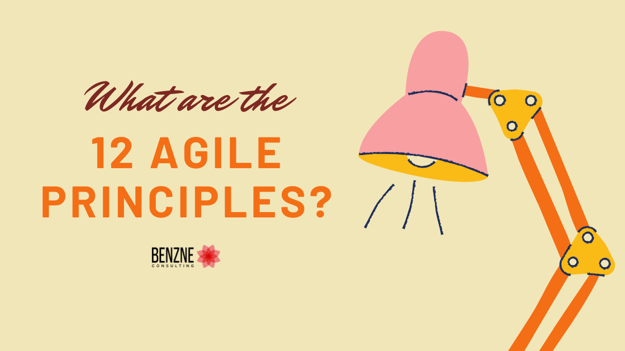 what are the 12 agile principles